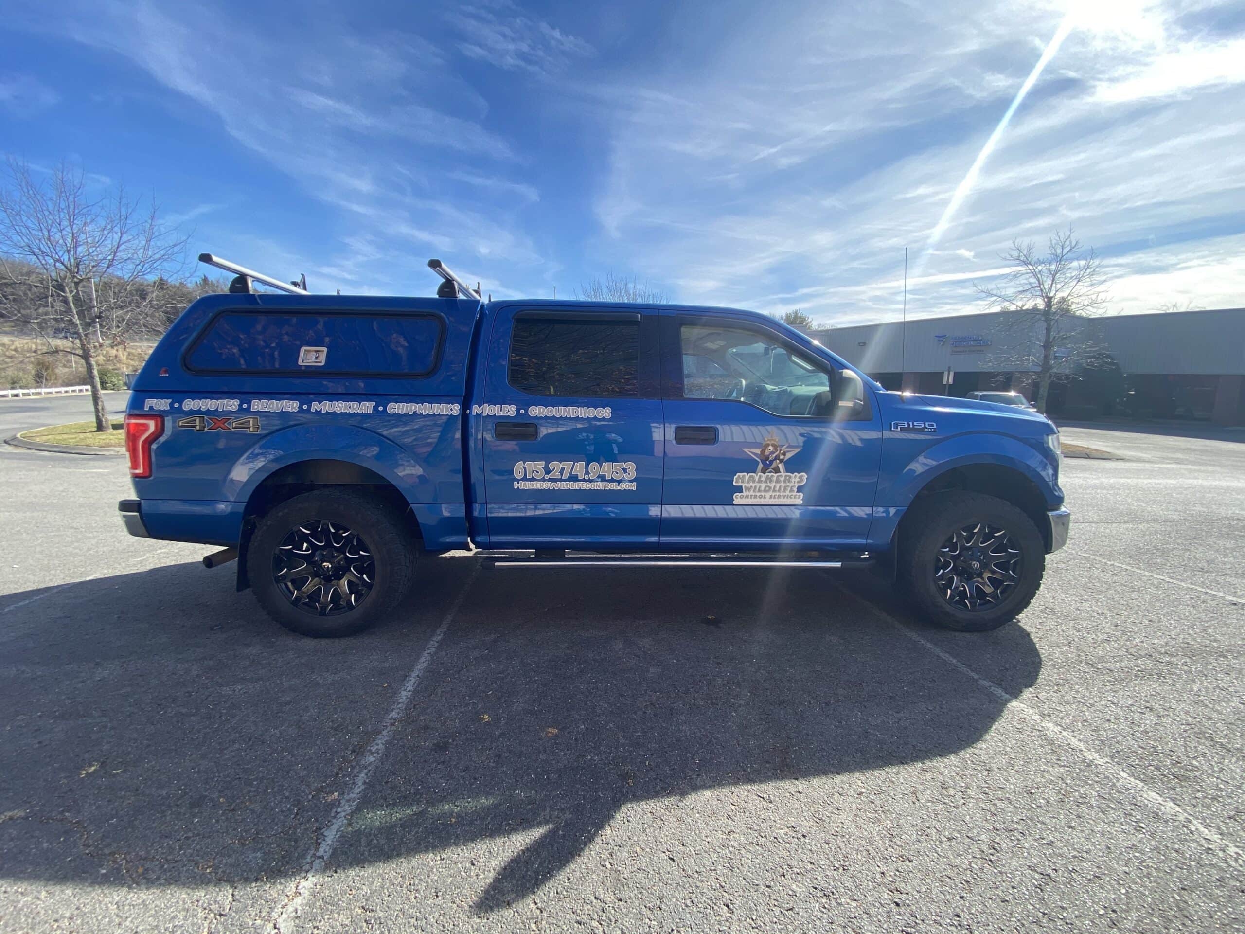Vehicle Spot Graphics for Halker's Wildlife Control Services - Nashville