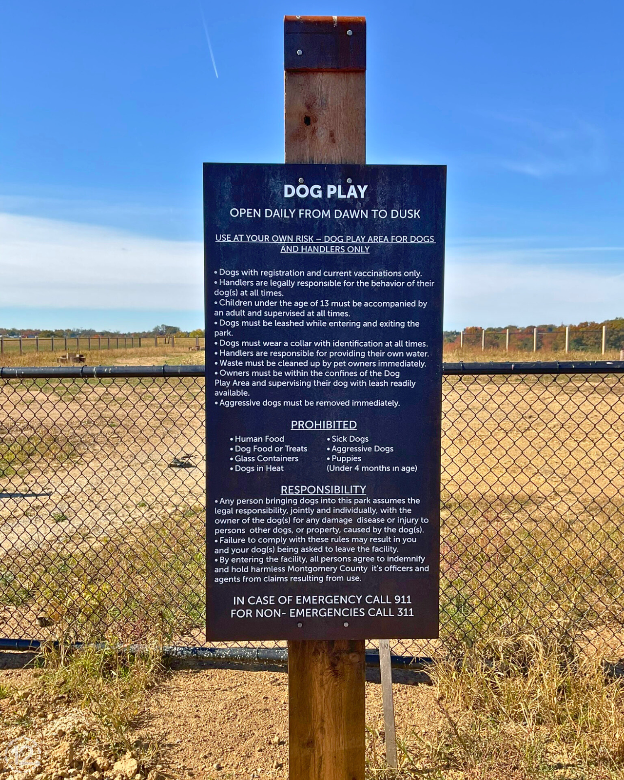 dog play metal info sign